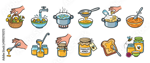 Step-by-step illustrated guide for making homemade dandelion honey from fresh flowers, showing the entire cooking process from picking to jarring in a colorful cartoon style
