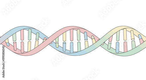 Colorful DNA double helix structure model.