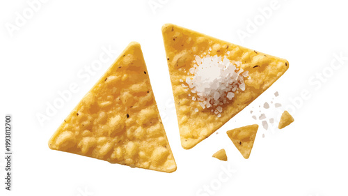   Close-up of Crunchy Triangular Tortilla Chips with Sea Salt Isolated on White Background