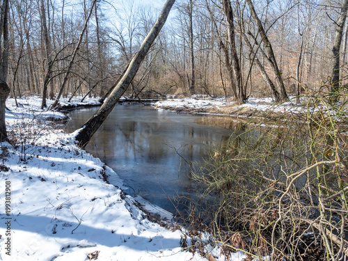 hike in the woodland in winter with snow