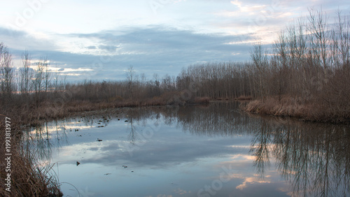 Tableau sur toile A view of a wetland in winter, where the reflection of the sky falls on the water's surface, along with dry grass