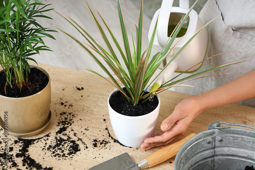 Female gardener watering pl...