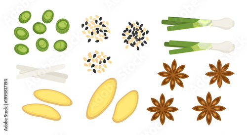 Flat Vector Illustration Set of Asian Kitchen Spices with Sliced Ginger Leeks Star Anise and Sesame Seeds Isolated on White Background for Culinary Design