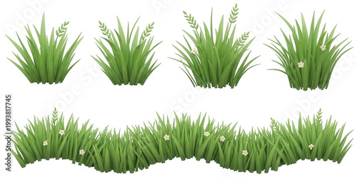 Green grass png Fresh vegetation cutout Spring plant png Lush garden cutout Cartoon grass png Stylized nature cutout Wildflower plant png Decorative border png isolated transparent background image