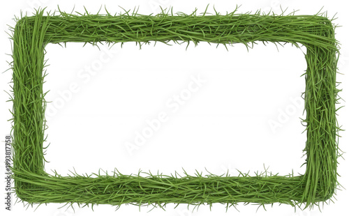 Green grass png Lush border cutout Organic frame png Natural lawn cutout Herbal foliage png Fresh turf cutout Wild sod png Botanical greenery cutout Meadow isolated transparent background image