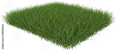 Green grass png Lush lawn cutout Fresh turf png Dense meadow cutout Natural sod png Vibrant verdure cutout Thick blade png Organic herb cutout Summer isolated transparent background image