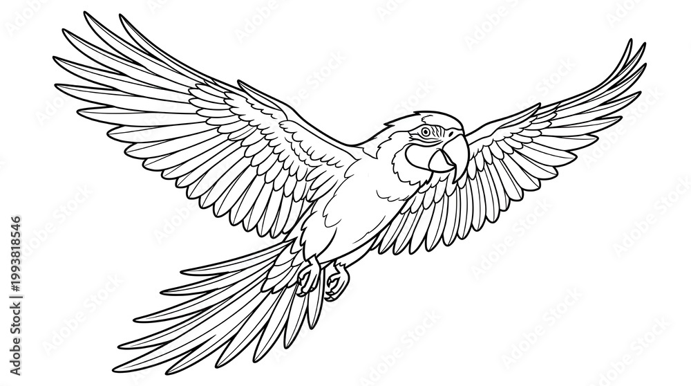 Obraz premium A black and white illustration of a bird in flight with outstretched wings