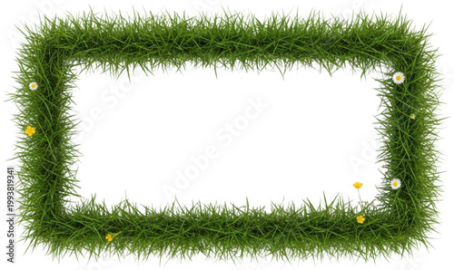 Green grass png Spring frame cutout Natural border png Floral turf cutout Rectangular lawn png Fresh greenery cutout Garden foliage png Wildflower meadow isolated transparent background image