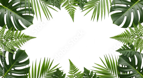 Green Leaf png Tropical foliage cutout Botanical frame png Jungle border cutout Fresh greenery png Decorative leaf cutout Summer plant border png Nature isolated transparent background image