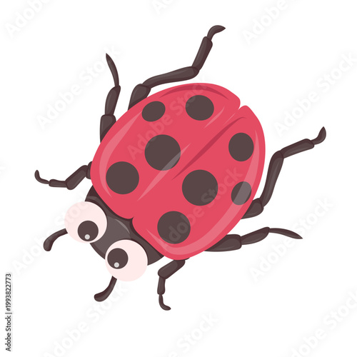 Ladybug vector character top view. Red beetle insect with black spots and antennae isolated on white background. Nature-themed graphic element