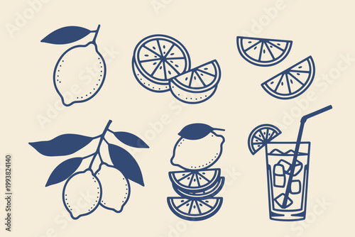 Blue line lemons and citrus slices with a refreshing drink on a cream background fruit