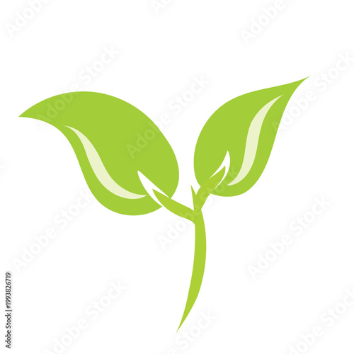 Photos green leaf icon, 2D flat Eco green plant
