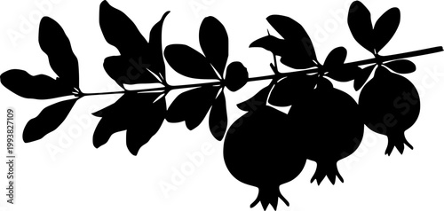 Black silhouette pomegranate branch with leaves and fruit on white background
