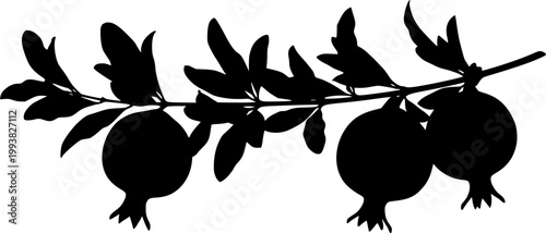 Black silhouette pomegranate branch with leaves and fruit on white background
