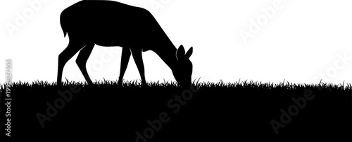 Deer silhouette grazing in grassy field black shadow
