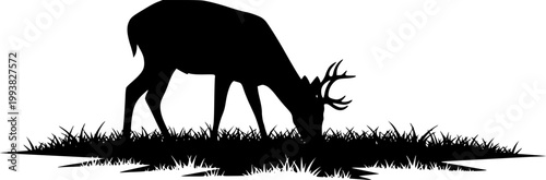 Deer silhouette grazing in grassy field black shadow
