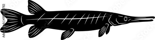 Black silhouette of a gar fish with white lines on body isolated on white background
