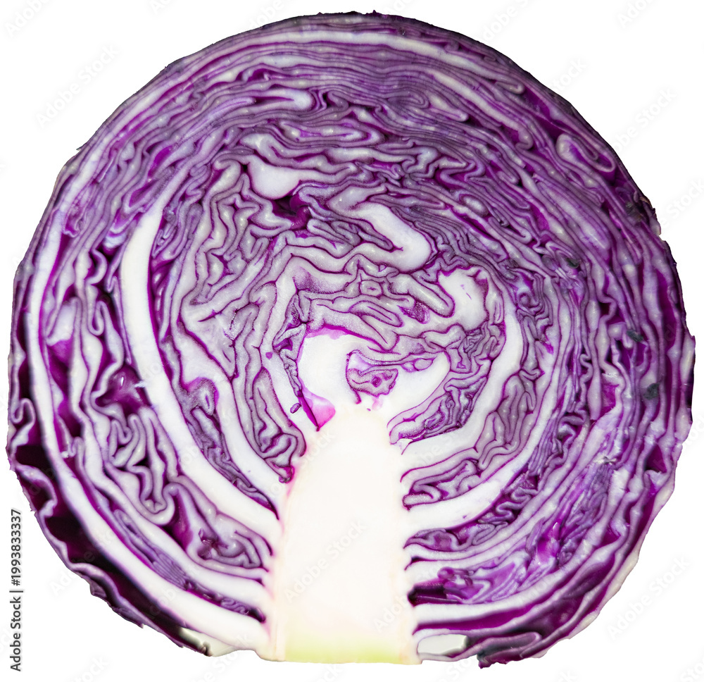 Obraz premium Purple cabbage cut in half isolated on white background