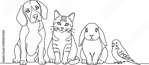 Minimalist continuous line art pets, black and white animal group vector, dog cat rabbit and bird outline drawing