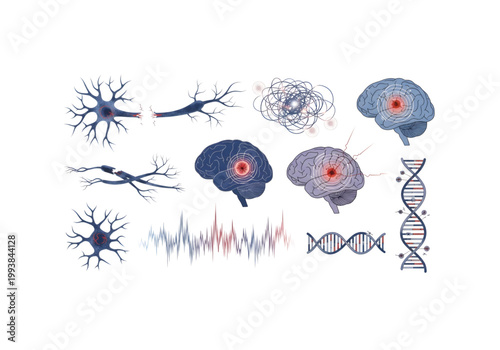 Blue and red brain health medical icons png on transparent background