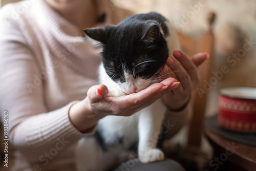 Bild auf Leinwand A woman with light brown hair gently feeds a small black and white cat from her hand