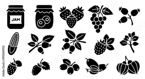 Berry Fruit Solid Black Icons Collection Organic Food Silhouette Vector Set