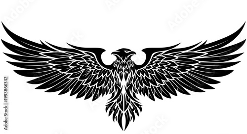 Black eagle with wings spread wide.