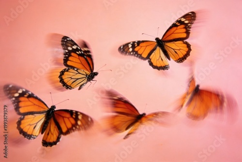 Dynamic scene with motion blur with monarch butterflies flying