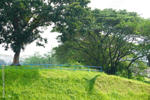 Εκτύπωση καμβά Lush green grassy hill with large trees and a blue metal fence