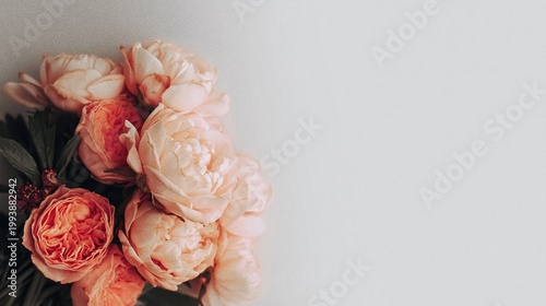 Generative AI, Peach Peony Rose Bouquet with Copy Space on White Background