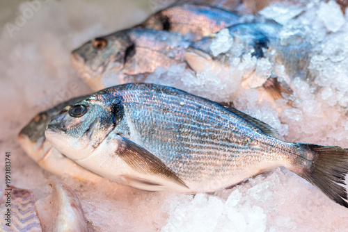 Konstfotografi Fresh fish displayed on ice at a market in the morning