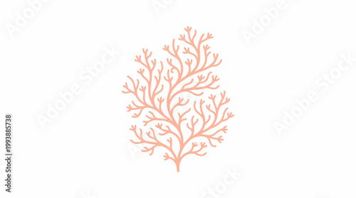 Coral Reef Illustration Isolated on White Background Simple Flat Design