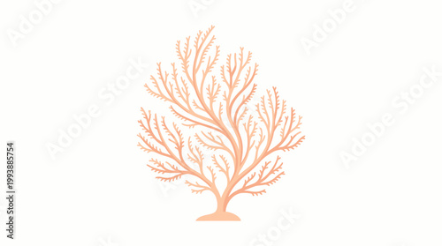 Flat Coral Reef Sea Plant Isolated on White Background Under the Sea