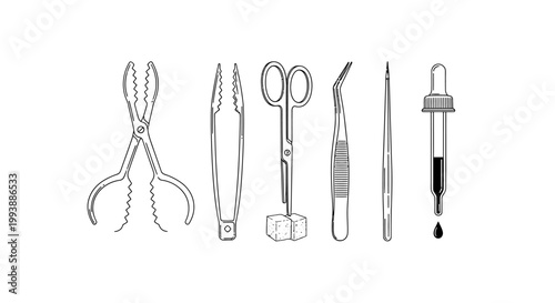 Set of Professional Medical and Laboratory Instruments Including Forceps, Scissors, Tweezers, and a Dropper, Isolated White Background