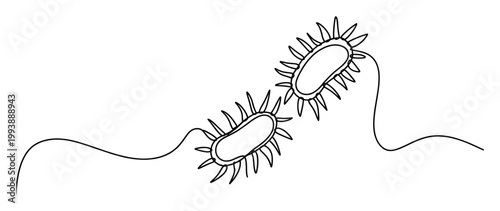 Minimalist single line bacteria drawing conveying microbiology research and immunology concepts for educational and scientific content
