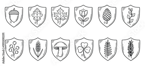 Collection of hand drawn nature elements inside heraldic shields perfect for rustic logo labels or botanical branding