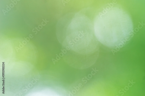 green bokeh abstract background