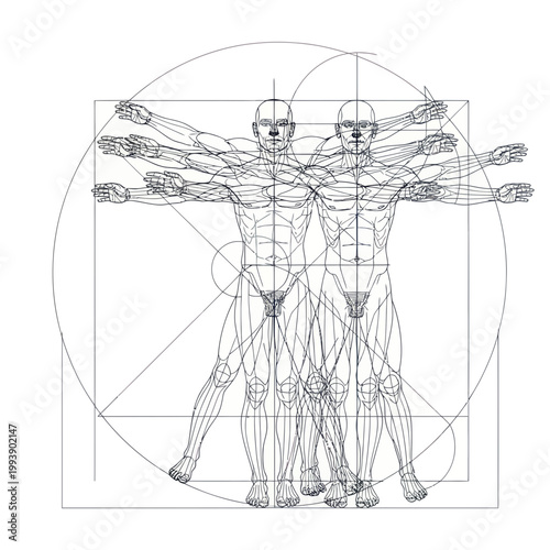 Vitruvian Man Study of Human Proportions and Geometry