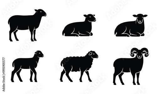 Sheep and ram silhouette icons set featuring various breeds and poses isolated on white background for livestock design.