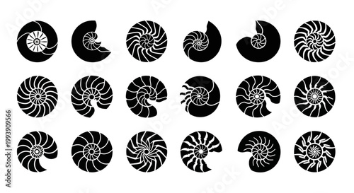 Nautilus Shell Icons, Black and White Spiral Shells, Nautical Symbols, Vector Illustration Set of 20