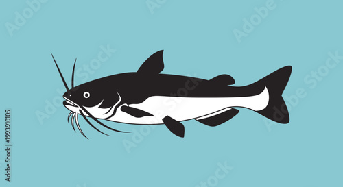 Stylized Catfish Illustration