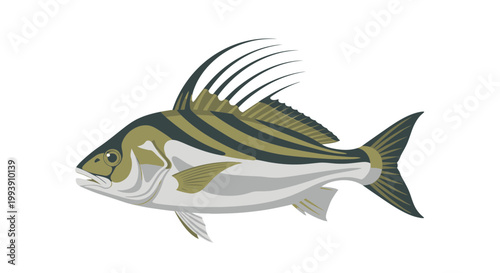 Stylized Fish Illustration, Marine Life, Aquatic Animal, Seafood, Underwater