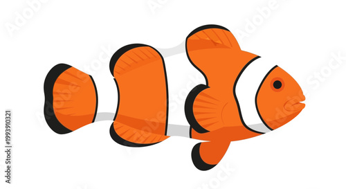 Vibrant Clownfish Illustration - Underwater Marine Life