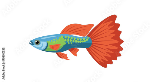 Vibrant Guppy Fish Illustration - Aquatic Pet Illustration