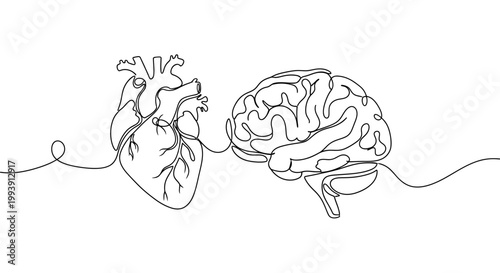 Continuous line drawing of heart and brain connected, symbolizing emotion and logic