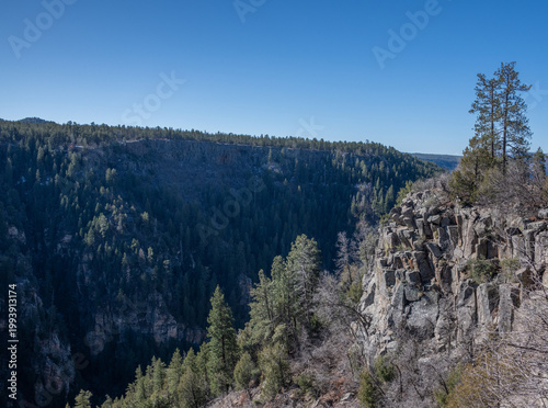 Rugged stone cliff and pine forest in Oak Creek Canyon Arizona