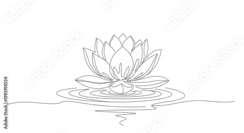 Lotus Flower Plant in Water Surface.