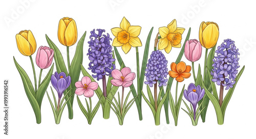 A vibrant collection of spring flowers in full bloom.