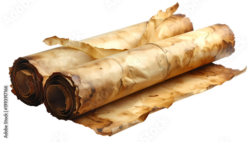 Antique Rolled Parchment Sc...