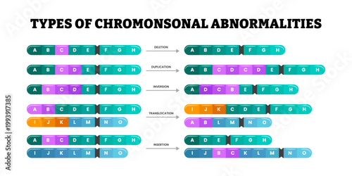 Chromosomal Abnormalities with deletion, duplication, inversion, translocation and insertion. Genetic syndromes. Chromosome structure aberrations, mutations. Genome and DNA illustration.